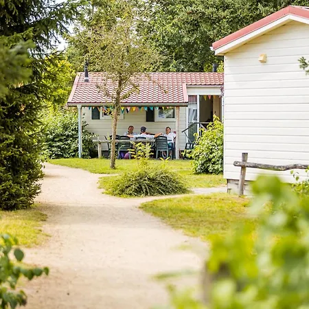 In Leukermeer By The Waterside Well (Limburg)