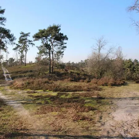 In Leukermeer By The Waterside *