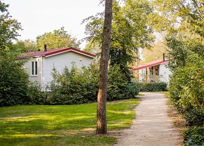 In Leukermeer By The Waterside