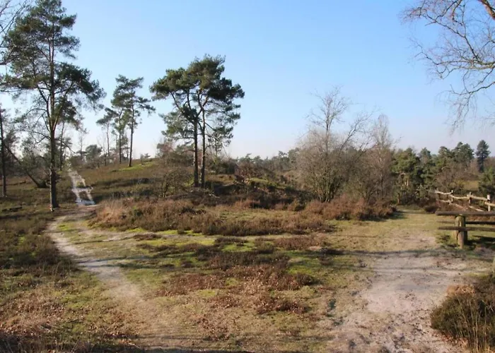 In Leukermeer By The Waterside *