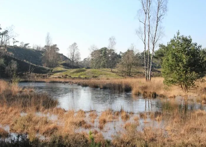 In Leukermeer By The Waterside *
