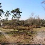 In Leukermeer By The Waterside *